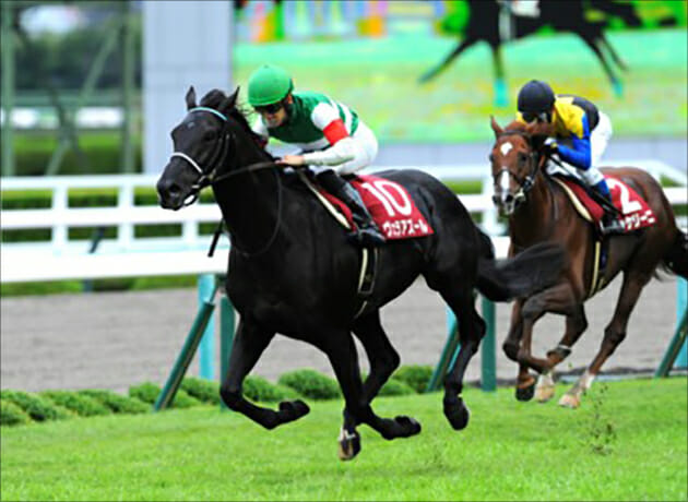 JRAジャパンCは社台グループ馬券で決着!? 関係者にとってこの馬が勝っ