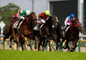 JRAジャパンCは社台グループ馬券で決着!? 関係者にとってこの馬が勝ってもお釣りがくるシャフリヤールではない、意外な狙い馬!