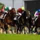 武豊も「頭の中を見てみたい」と困惑…エアシャカール世代「屈辱」のジャパンC