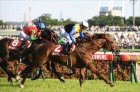 武豊騎手に最後のG1チャンス？JRAジャパンCは待ち望んでいた“あの条件”で勝機到来！