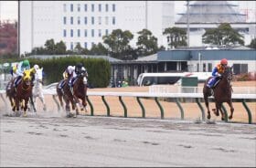 テーオーケインズ「1強ムード」に違和感ありあり…チャンピオンズCのカギを握る各陣営の思惑