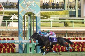 矢作芳人調教師の「友人」棟広良隆氏ホープフルS◎→○大本線で17万馬券ゲット！