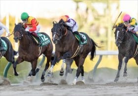 武豊もチャンピオンズCの刺客に名乗り…絶対王者に「100%敗戦」のジンクス