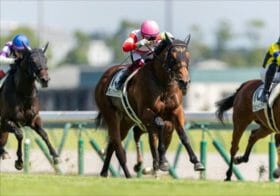 大差レコード勝ちマルゼンスキー級の怪物がいる! 今年のJRA朝日杯FSは想像を超える結末に!?