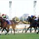 有名解説者のエフフォーリア「牛」発言が話題、有馬記念の復活Vに黄信号!?