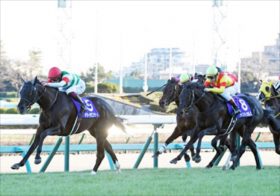 今年の負けを一撃で吹き飛ばす可能性の超爆弾馬！JRAホープフルSに出走。衝撃の事実を緊急“暴露”