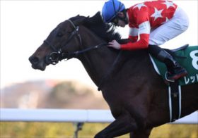 2023年競馬を占ううえで大きな武器となる!? 中山金杯フェーングロッテン、京都金杯イルーシヴパンサーに不安情報でいきなり波乱か