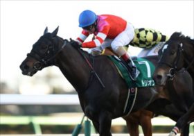 武豊アドマイヤビルゴの巻き返しは微妙？JRA中山金杯、京都金杯はともに近走不振の穴馬から勝負！