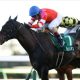 【中山金杯(G3)展望】武豊「痛恨」の2023年幕開け…6億円アドマイヤビルゴは回避
