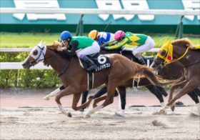 JRA 東海S、オーヴェルニュ斬りで狙う超高額万馬券、“凄腕記者”の一攫千金穴馬勝負！