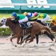 JRA史上初フェブラリーS「海外の大物」参戦! 米BCマイル2着馬「ガチ遠征」でカフェファラオ3連覇に黄色信号か