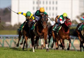JRAシルクロードS「絶対買うべき馬」を総チェック！寒い時期の絶好調馬で一発あり！ 川田・武豊・ルメール不在で中堅若手騎手に絶好のアピールチャンス