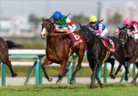 昨年イルーシヴパンサー激走にワケあり？JRA東京新聞杯は「万全の仕上がりで挑む穴馬」が勝負気配！大本命ナミュールに不安