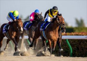 川田将雅レッドルゼル、坂井瑠星レモンポップは不安要素大！JRAフェブラリーSで買うべき一発逆転“隠れ実力馬”