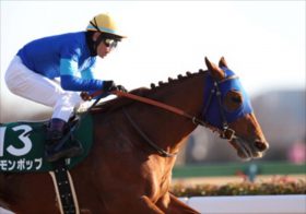 レッドルゼル「1600mは長い」トップジョッキーの言葉を無視した参戦は何故？JRAフェブラリーSに隠された裏事情を紐解く