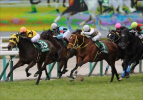 JRA阪急杯ピクシーナイトがまさかの回避！マッドクールも離脱で短距離界は風雲急！急浮上したコメント控えめの意外な本命候補！