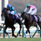JRA「最強外国人」B.ムルザバエフを買えるラストチャンス! 横山典弘ポツンに半信半疑…少頭数でも稼げるオイシイ穴馬は?【弥生賞(G2)予想】
