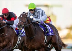 「サウジCのパンサラッサと武豊ドーブネ」がヒント！JRA弥生賞でトップナイフよりも買うべき馬