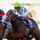 JRA「最強外国人」B.ムルザバエフを買えるラストチャンス! 横山典弘ポツンに半信半疑…少頭数でも稼げるオイシイ穴馬は?【弥生賞(G2)予想】