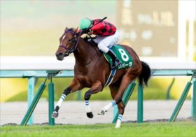 なぜ春の牝馬限定重賞は荒れるのか、的中のコツは発情!? JRAフィリーズレビュー有力馬「リバーラ・ブトンドール」の扱いは？
