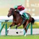 JRA【金鯱賞(G2)予想座談会】波乱必至の難解重賞に断!ハーツクライの「サイン」もバッチリ、打倒プログノーシスを託した実力馬と狙う特大万馬券