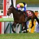 ディープインパクトやキタサンブラックら栄光の陰で、勝者になれなかった馬たちに待ち受ける悲しい現実…「馬が好き」だからこそ知っておきたい引退馬問題の最前線【特別インタビュー】