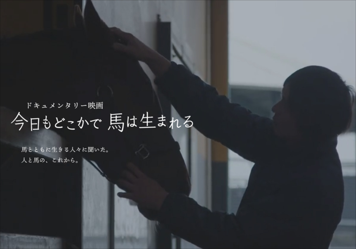 ディープインパクトやキタサンブラックら栄光の陰で、勝者になれ