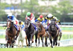 「福永祐一×川田将雅」天皇賞・春へ強力タッグ結成！JRA阪神大賞典はボルドグフーシュで長距離界の頂点へ！