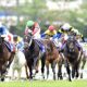 「両雄並び立たず」の天皇賞・春(G1)は武豊の大楽勝、伝説のブライアンVSトップガンも本番で笑ったのは横山典弘、「信じたいものを信じた」ファンが招いた波乱の歴史