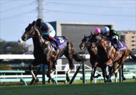 JRA高松宮記念、グレナディアガーズ、ナランフレグ、ピクシーナイトらG1馬全滅の危機…。「隠れた短距離適性」の注目穴馬！