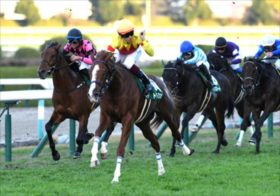 まさに侍ジャパン！JRAのヌートバーことルメール躍動！ドバイ遠征は過去最強の布陣！JRA高松宮記念と夢の大一番へ！