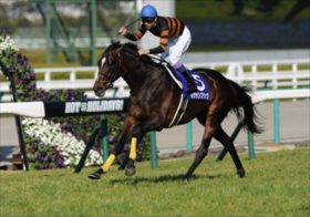 「ここには魔物が棲む」三冠馬コントレイルも大敗したJRA大阪杯。武豊×ジャックドールは今年も危険な人気馬？