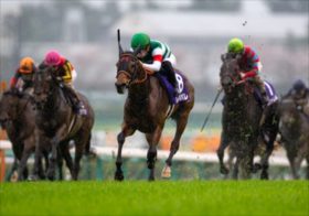 JRA大阪杯はノーザンファーム現在5連勝中、ここをスターズオンアースに勝たせる訳にはいかない!? 包囲網で大荒れか