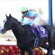 岩田望来「行方不明」の素質馬と挑んだ皐月賞のリベンジマッチへ…シャザーンと狙うトップジョッキーの仲間入り