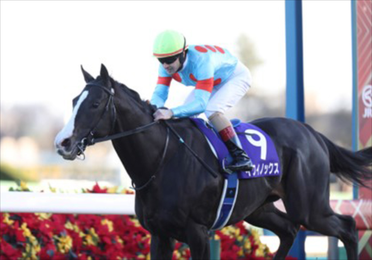 JRA 阪神競馬場クロワデュノールイクイノックスディープインパクト
