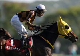 リバティアイランドに挑戦状を叩きつける！JRAフローラS、某厩舎が送り出す秘密兵器！