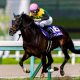 タイトルホルダー連覇はほぼ当確!? 天皇賞・春(G1)で続いた「勝ち馬の法則」が勝利を後押し…キタサンブラック、フィエールマンに続けるか