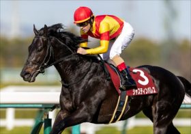 池添謙一さえ見落としたオルフェーヴルの変化、天皇賞・春（G1）の盲点に関係者が警鐘…「知らなかったでは済まされない」思い込みの罠