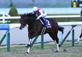 武豊×オオバンブルマイの大盤振る舞い炸裂か？ 2006年と酷似する今年のJRA・NHKマイルCの狙い方