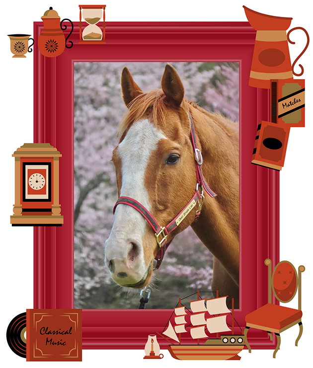 08菊花賞の覇者は、癒し系転向でファンもギャップ萌え!?｜オウケンブルースリの画像3