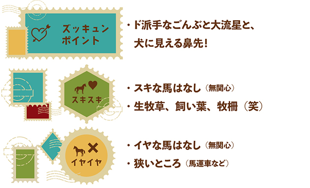 08菊花賞の覇者は、癒し系転向でファンもギャップ萌え!?｜オウケンブルースリの画像5