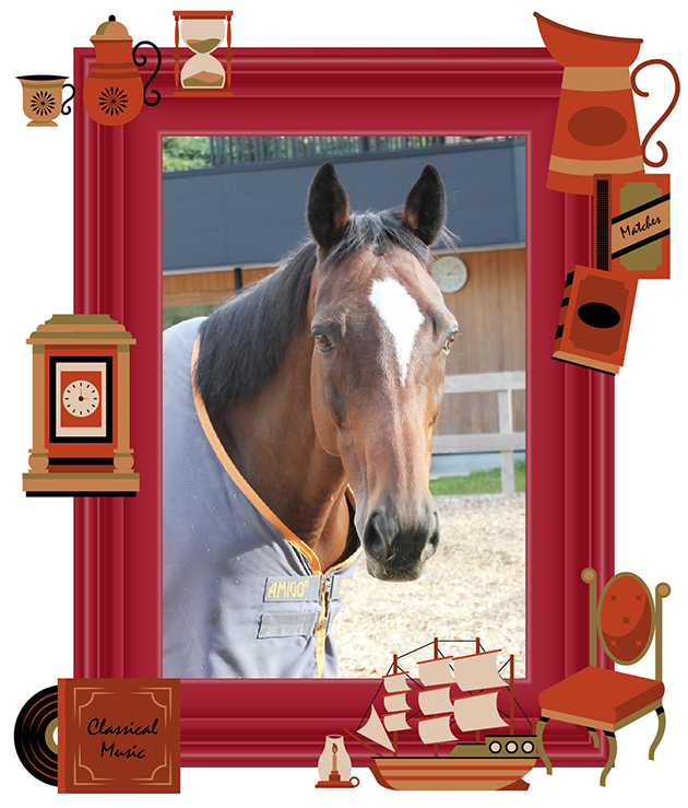 武豊と13小倉記念をレコードで制した夏の王様は、食いしん坊のセラピー王子に大変身!??|メイショウナルトの画像3