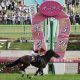 ディープインパクト、ナリタブライアン超えた衝撃の6馬身! リバティアイランド三冠濃厚も…怪物牝馬を凌駕する「最大着差」レコードホルダーが存在