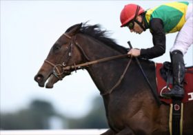 NHKマイルC、大混戦のJRA3歳マイル王決定戦。事前検証であの馬が急浮上!?