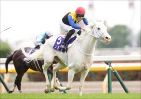 JRAヴィクトリアマイル、社台ファームでもノーザンファームでもない意外な牧場の2070万馬券ミナレット級穴馬！スターズオンアース、ソダシは赤信号？