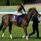 オークス(G1)リバティアイランド一強ムードの裏で「因縁対決」勃発!? 5年目の若手が重賞ウイナーと「元サヤ」でも素直に喜べないワケ