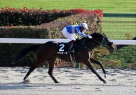 川田騎手に大ピンチ！2年連続リーディングは夢の彼方へ…、運命を分ける夏競馬の勝負どころとは？