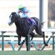 宝塚記念(G1)団野大成「謎降板」に関西若手のエースが関係!? 武豊の不可解な登場と突然のフリー発表…関係者を激怒させた「素行不良」の舞台裏