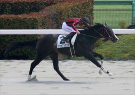 JRAユニコーンS、ワールズコライド、ペリエールなど地元東京馬主の勝負馬情報！地方最強馬ミックファイアへ挑むのは？