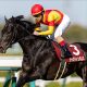 【夢の宝塚記念】C.ルメール×イクイノックス、川田将雅×リバティアイランド、武豊×ドウデュース、そしてあの最強馬参戦でファン投票を超えるドリームレースへ!